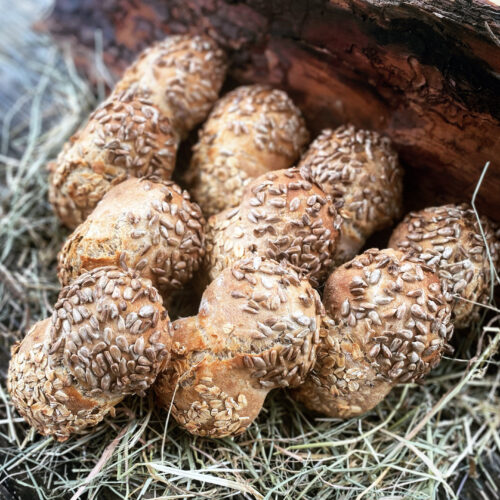 Doppelkorn Brötchen